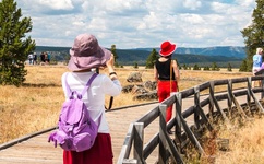草莓榴莲向日葵丝瓜18岁